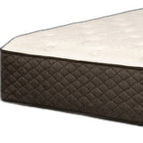 Bridget Twin 11.5" Luxury Firm Hybrid Mattress