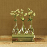 Trio Set Of Three Joined Glass Posy Vases