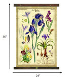 The Iris Arrangement Tapestry Wall Décor