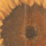 Rustic Old Sunflower Cafe Wall Art