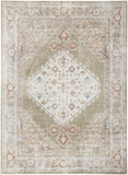 5' x 7' Sage Oriental Power Loom Distressed Washable Area Rug