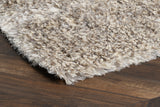 2' X 3' Tan Hand Woven Area Rug