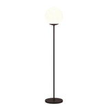 62" Black Novelty Floor Lamp With White Frosted Glass Globe Shade