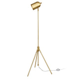 56" Brass Tripod Floor Lamp With Brass Dome Shade