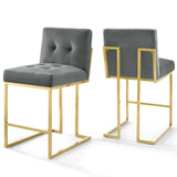 Privy Gold Stainless Steel Performance Velvet Counter Stool Set of 2 by Lefancy