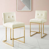 Privy Gold Stainless Steel Performance Velvet Counter Stool Set of 2 by Lefancy