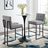 Privy Black Stainless Steel Upholstered Fabric Bar Stool Set of 2 by Lefancy