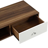 Transmit 55” TV Stand by Lefancy