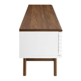 Render 70" Entertainment Center TV Stand by Lefancy