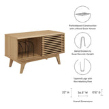 Render Vinyl Record Display Stand by Lefancy