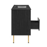 Chaucer 48" Single Sink Bathroom Vanity by Lefancy