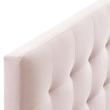 Lily Biscuit Tufted Performance Velvet Full Headboard by Lefancy