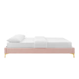 Sutton Performance Velvet Queen Bed Frame by Lefancy