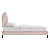 Daisy Performance Velvet Queen Platform Bed by Lefancy