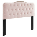 Sophia Tufted Performance Velvet Twin Headboard by Lefancy