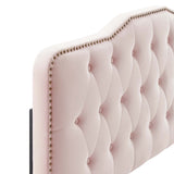 Sophia Tufted Performance Velvet Twin Headboard by Lefancy