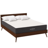 Aveline 10" Queen Mattress by Lefancy