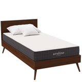 Aveline 8" Twin Mattress by Lefancy