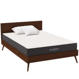 Aveline 8" Full Mattress by Lefancy