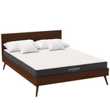 Aveline 6" Queen Mattress by Lefancy