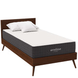 Aveline 10" Twin Mattress by Lefancy