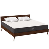 Aveline 10" King Mattress by Lefancy