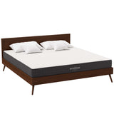 Aveline 8" King Mattress by Lefancy