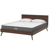 Kate 6" Queen Mattress by Lefancy