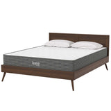 Kate 8" Queen Mattress by Lefancy