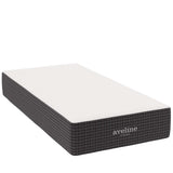 Aveline 12" Memory Foam Twin Mattress by Lefancy