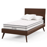 Jenna 6" Innerspring and Foam Narrow Twin Mattress by Lefancy