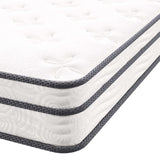 Jenna 6" Innerspring and Foam Narrow Twin Mattress by Lefancy