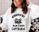 Capybaras Lover Introverted But Willing To Discuss Unisex Sweatshirt
