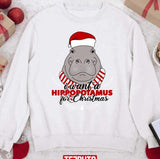 I Want A Hippopotamus For Christmas 2023 Design Unisex Sweatshirt
