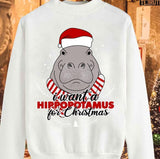 I Want A Hippopotamus For Christmas 2023 Design Unisex Sweatshirt